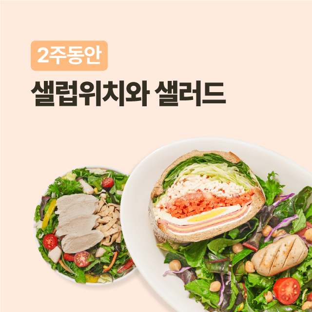 [정기배송] 2주동안 샐럽위치와 샐러드