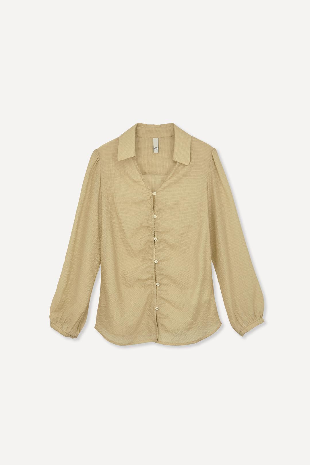Sheer Blouse