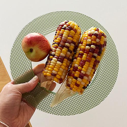 에딩 체키 라인 디너 플레이트 4 colors