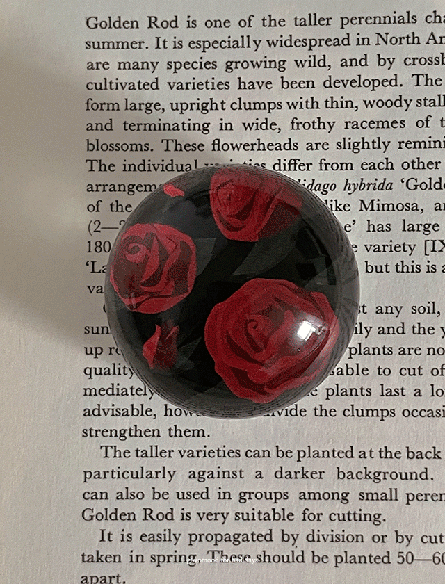 [BEST] Brick Rose 핑거톡