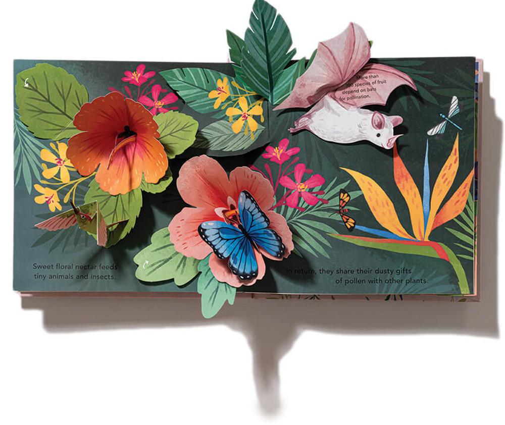 봄봄적립★[김유진 & 캐서린 셀버트] 꽃피는 팝업북 [미국판 양장본.]