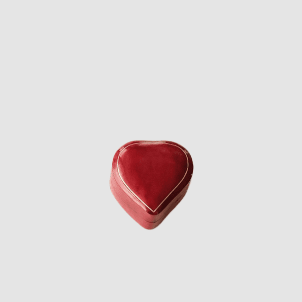 HEART CASE (S)