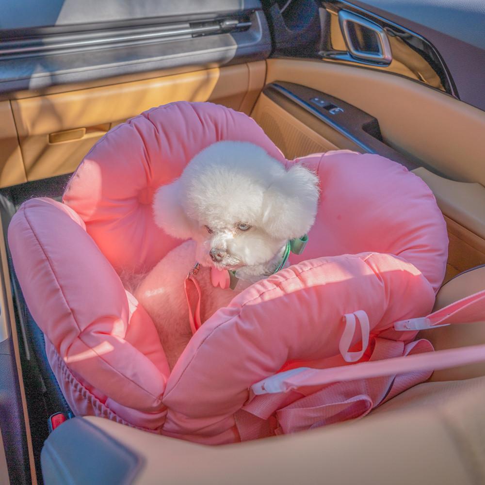 모몽플라워 강아지카시트 애견 반려견 조수석 자동차 펫시트