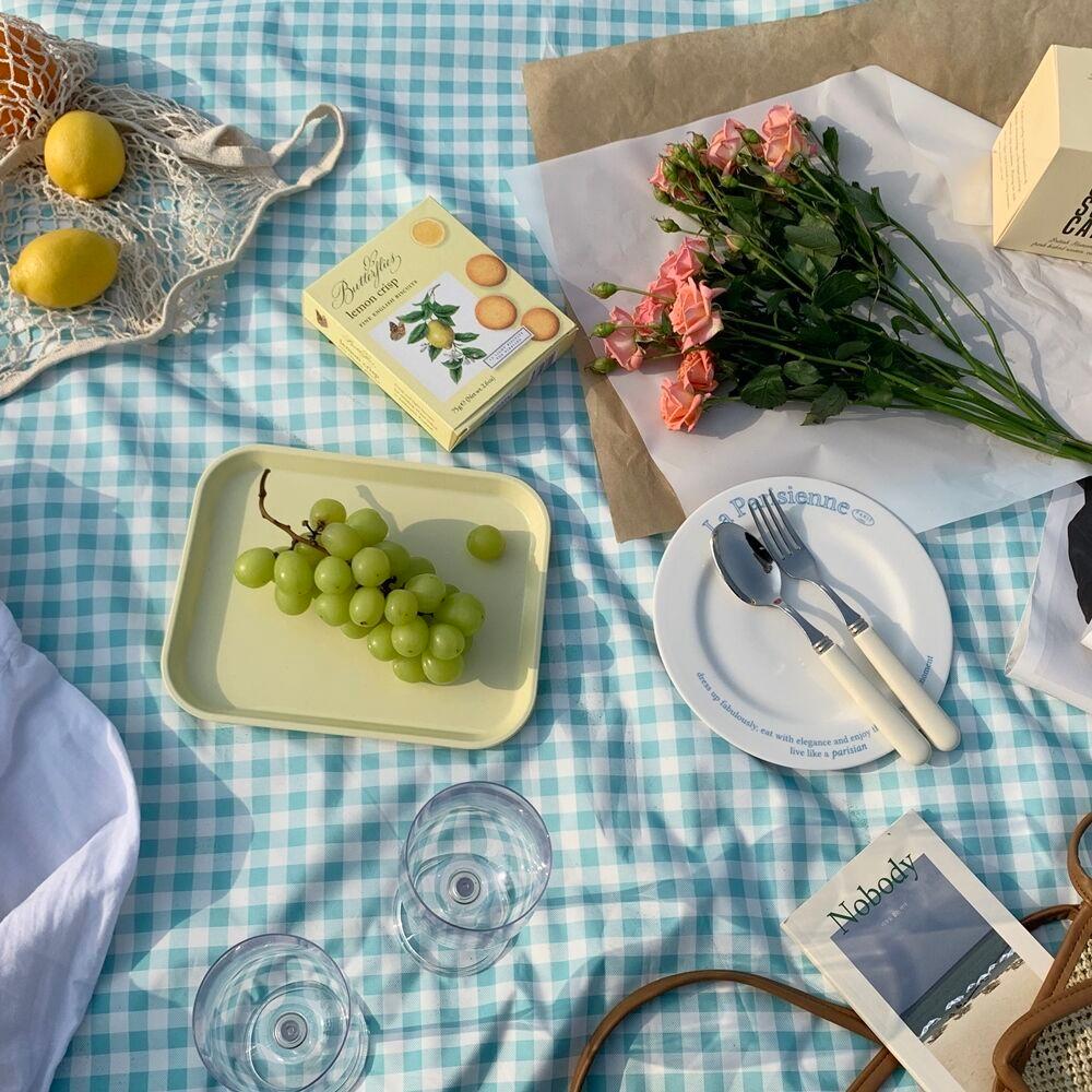 [선물용] 프렌치블루 양면방수 피크닉& 캠핑매트 1p 선물세트 (2size 체크 전용파우치 소풍 돗자리)