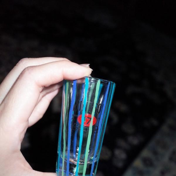 [곧은선 시리즈] Windsor 17년산 로고 샷잔