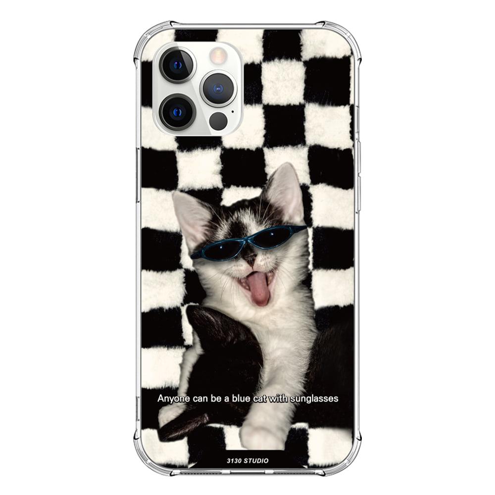 checkerboard Friends Blue cat case