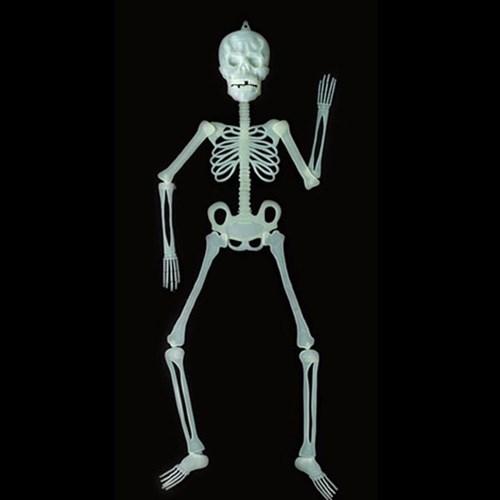 [파티스토리] 할로윈 야광전신해골모형(대)_(1339917)