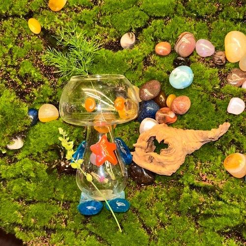 다홍별 버섯씨 화병