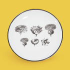 비스타 알레그레 허벌리아 브레드 접시 19cm