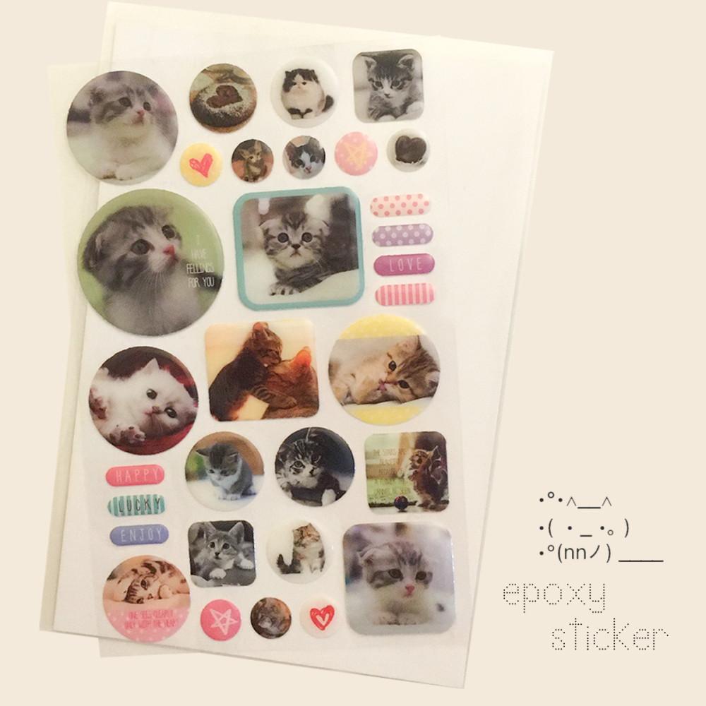 [select] meow epoxy sticker