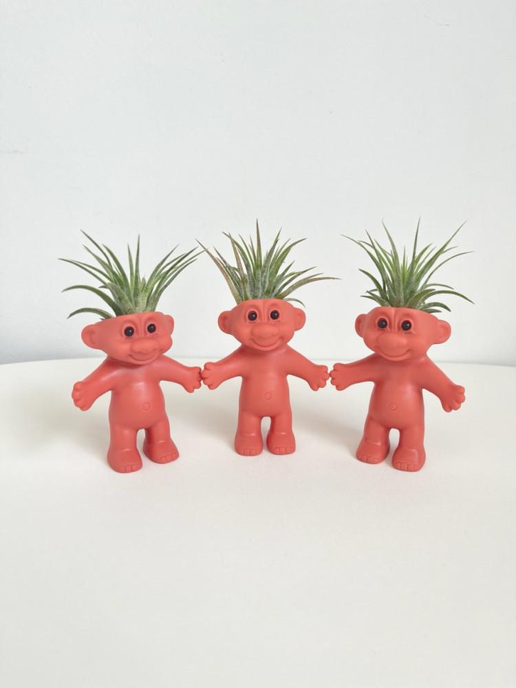 트롤 화분 (사무실 미니 화분, 트롤식물, 공기정화)