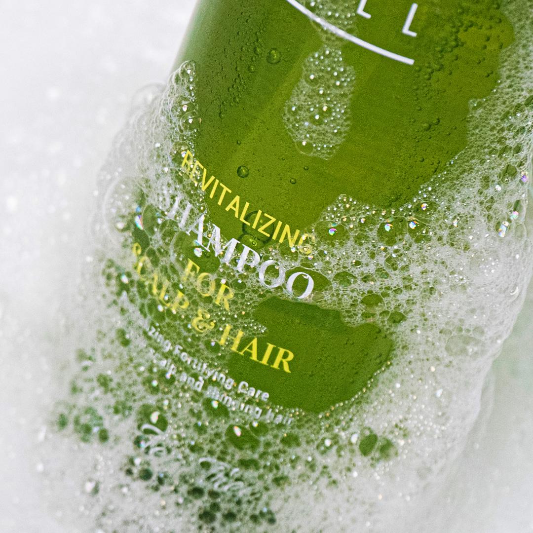 리바이탈라이징 샴푸