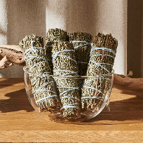 시더 스머지스틱