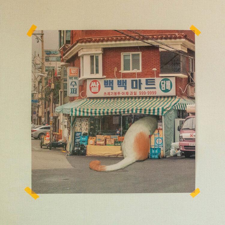 [ 김나훔 ] 슈퍼마켓 고양이 일러스트 포스터