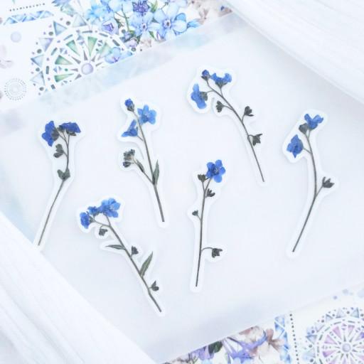 [수제 압화 스티커 시리즈] '물망초' 편💙