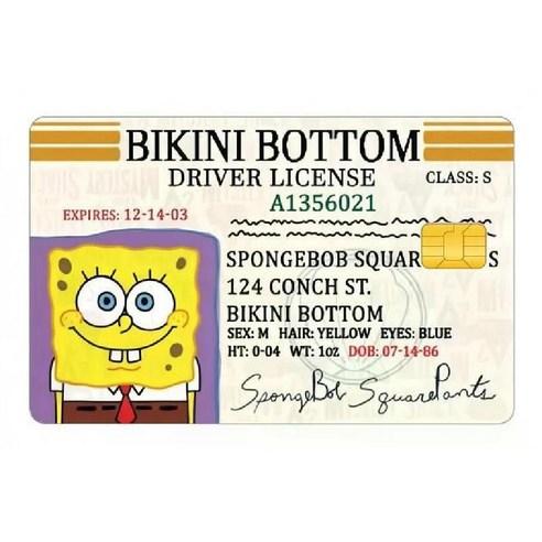 스폰지밥 카드 스티커