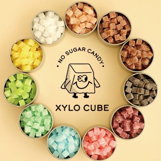 🌼1+1 구성🌼무설탕 자일로큐브 캔디 2통 140g