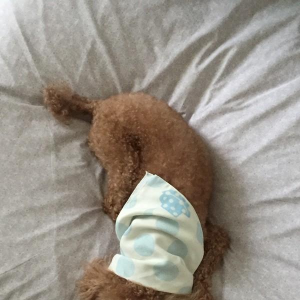 커피향과 보자기