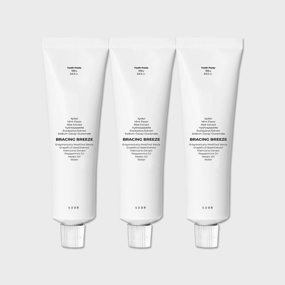 생활도감 천연치약 브레이싱브리즈(쿨민트) 100g 3개입