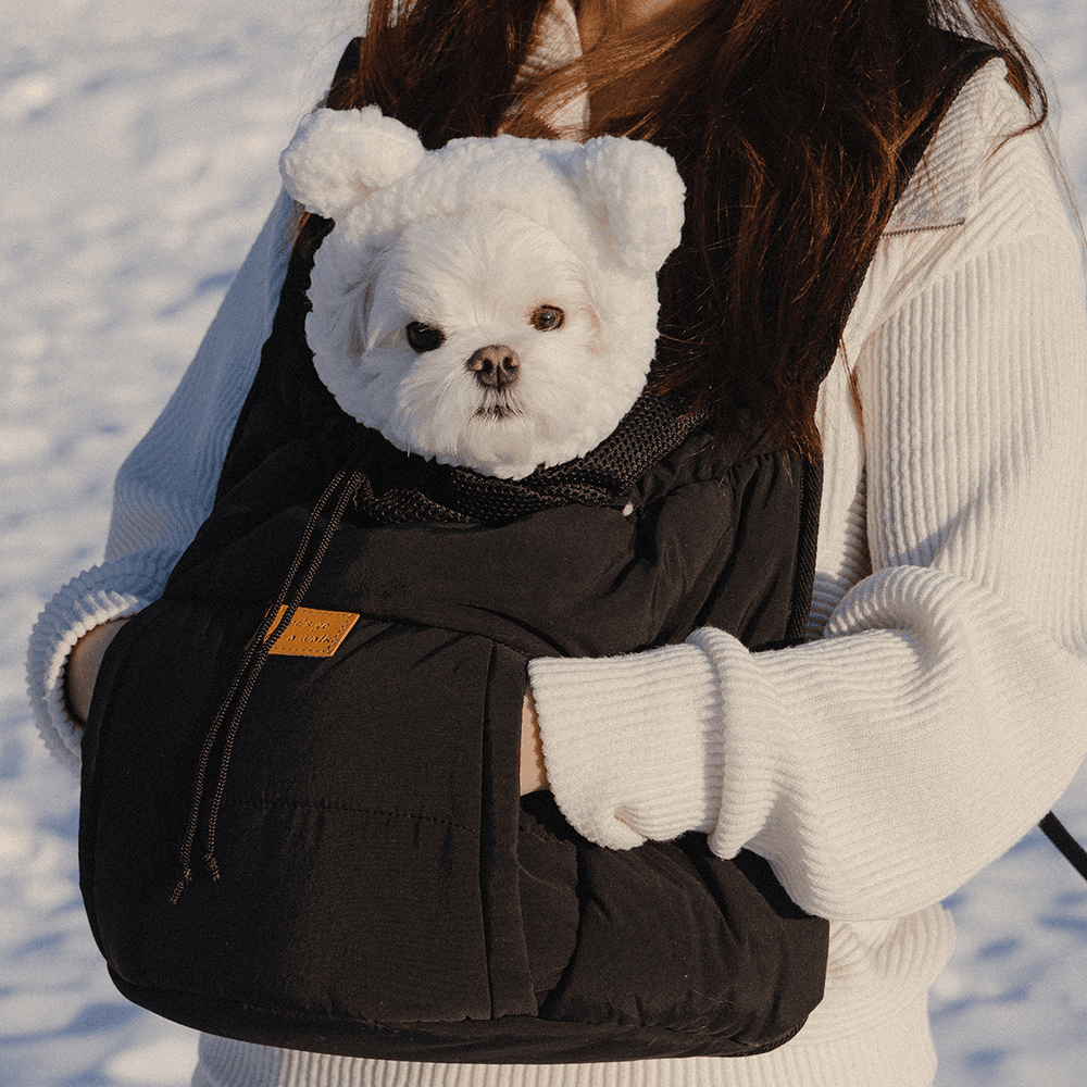 산책갈까 쏘옥백