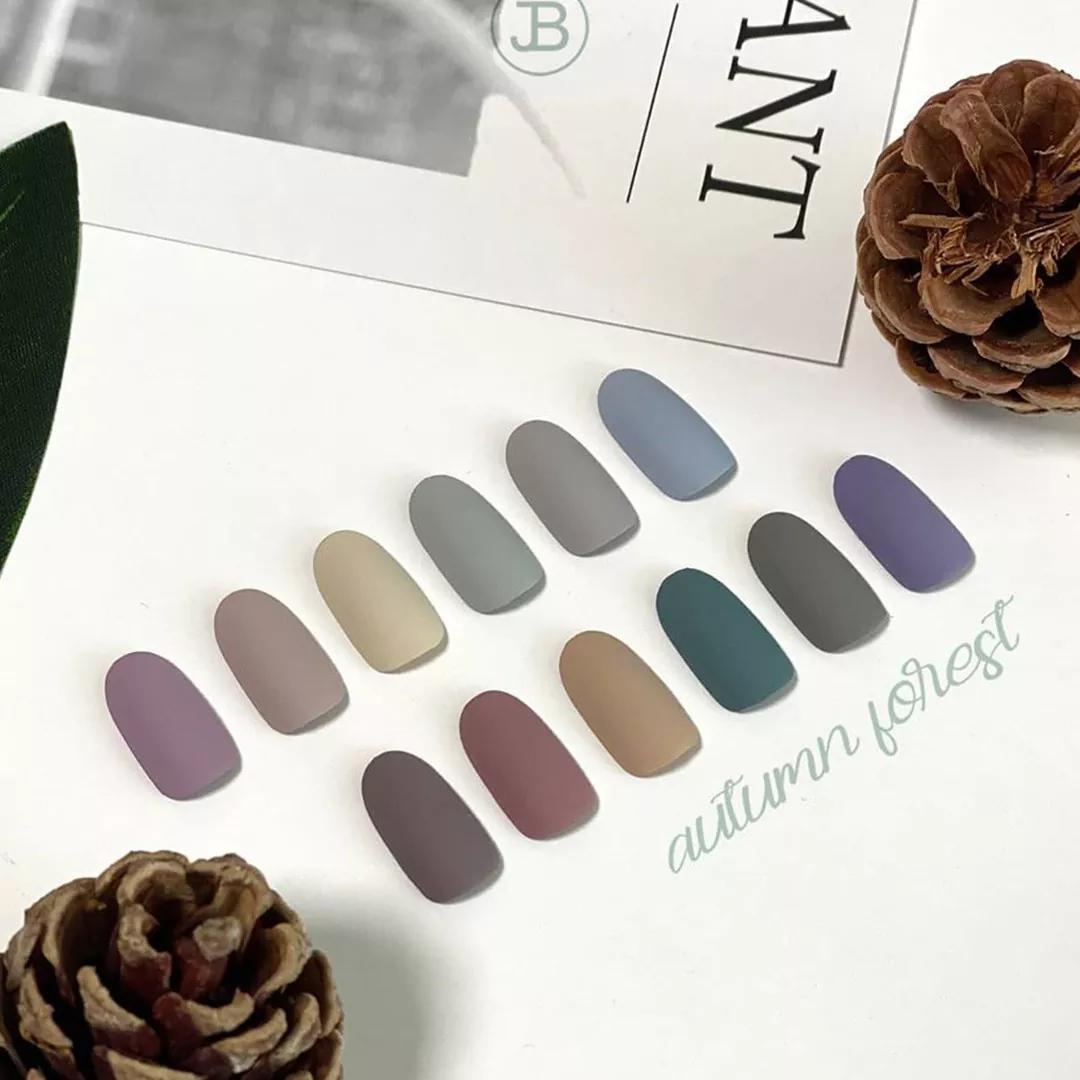 [그라시아] 진비 아이비 어텀 포레스트 12종 세트 {11ml/12종 1세트}