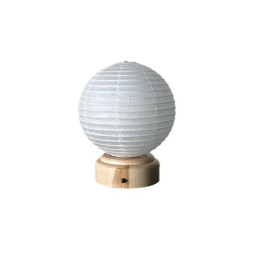 [ASANO SHOTEN] NATURE LAMP FRUIT