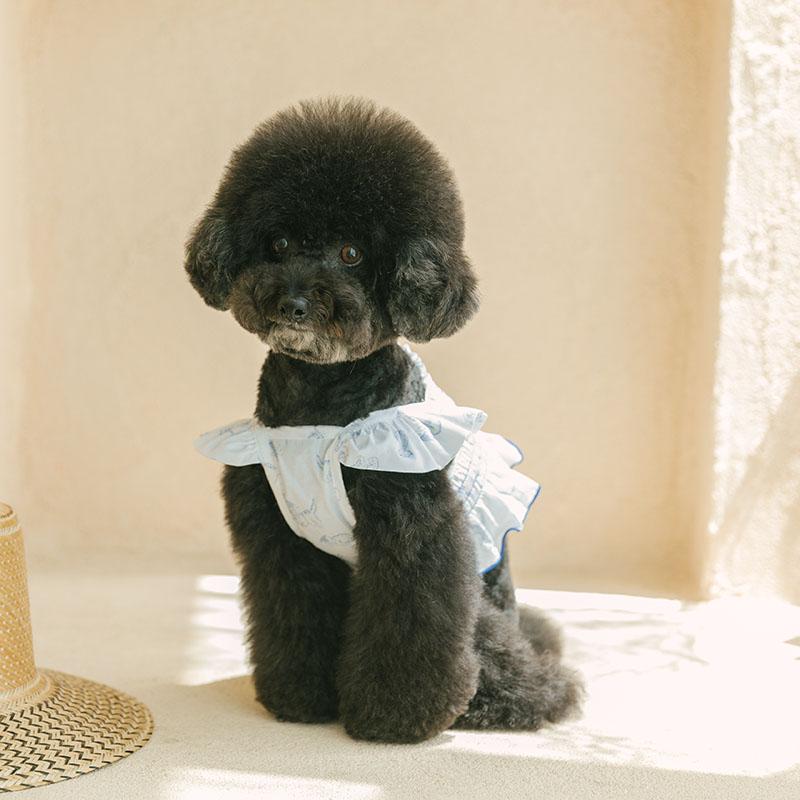 [2nd restock] 메종드 플라워 크롭 탑 - 화이트