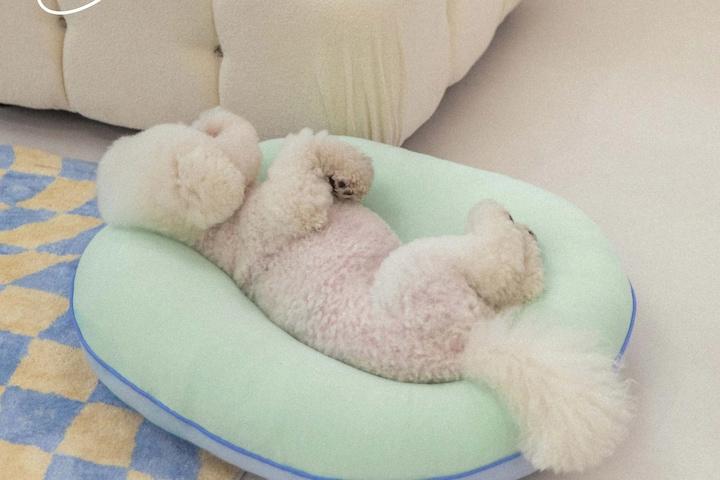 사계절 사용 가능한 강아지 고양이 방석 허그쿠션 (M/L)