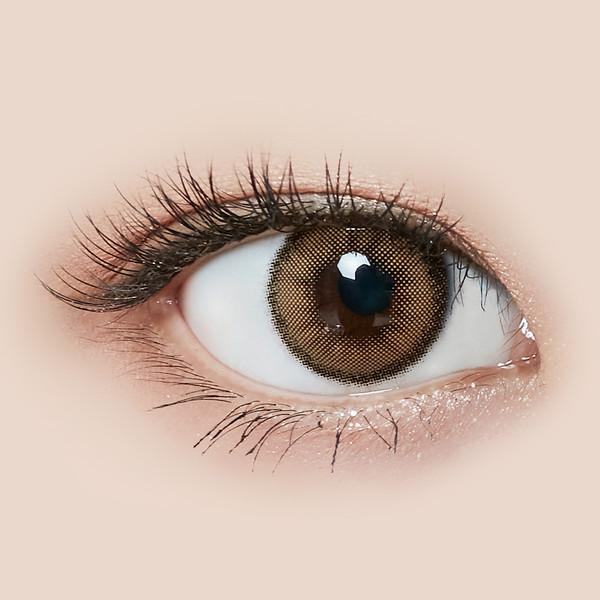 아벨 - 브라운 [1개월용]