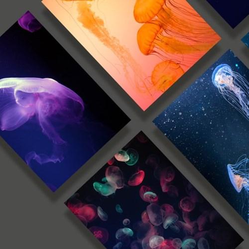 공간에 영감을 주는 인테리어 포스터, 춤추는 바다 해파리 8종