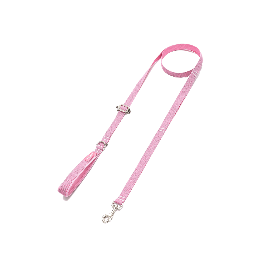 Holy™ Leash Pink