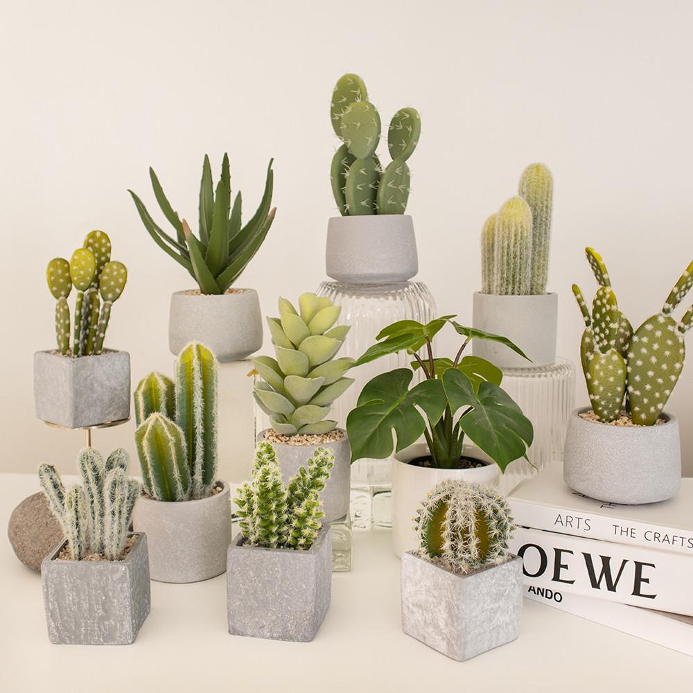 미니조화화분 다육이 선인장 생화같은 인테리어조화 식물장식 선물 데코용라탄바구니