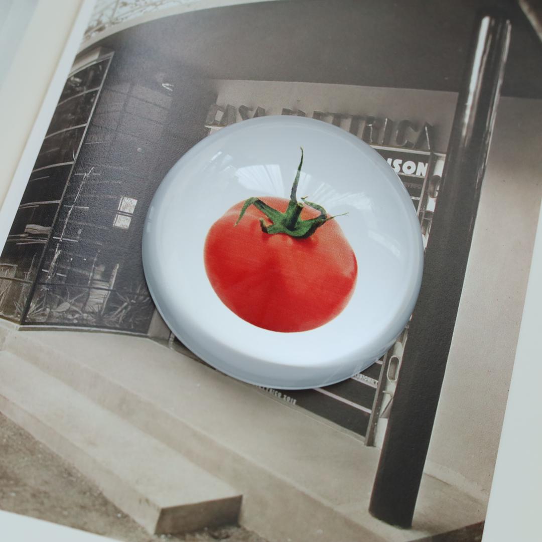 문진 : 토마토 (Tomato)