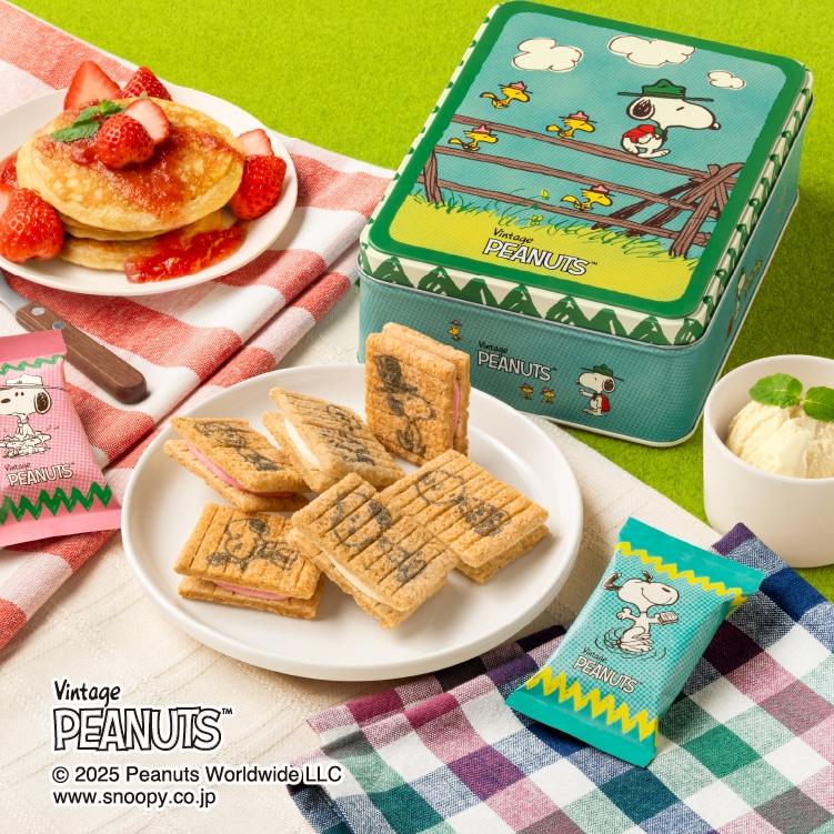 슈가 버터 트리 스누피 틴 케이스 콜라보 슈가버터,딸기 팬 케이크 쿠키 (16개입)