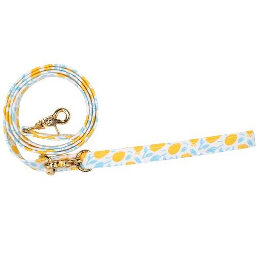 PLAY DATE LEASH