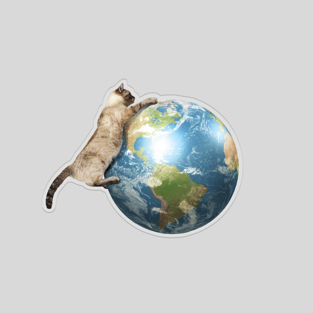 [Acrylic tok] I need "MEOW\" space 아크릴톡