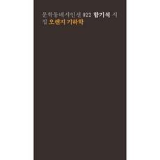 오렌지 기하학:함기석 시집