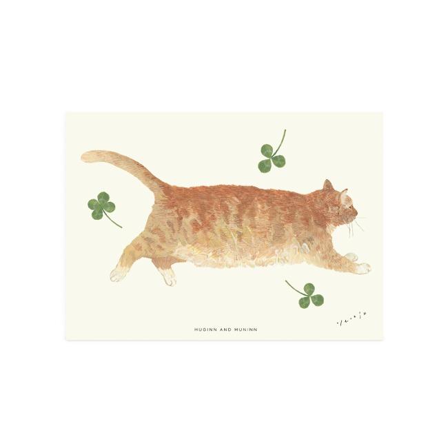 드로잉카드-nori 02