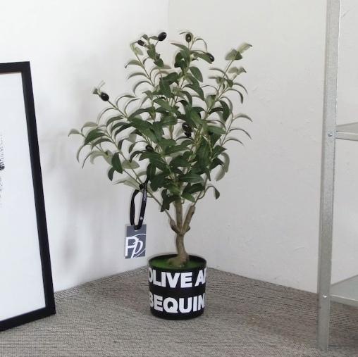 올리브 (olive arbequina) 조화