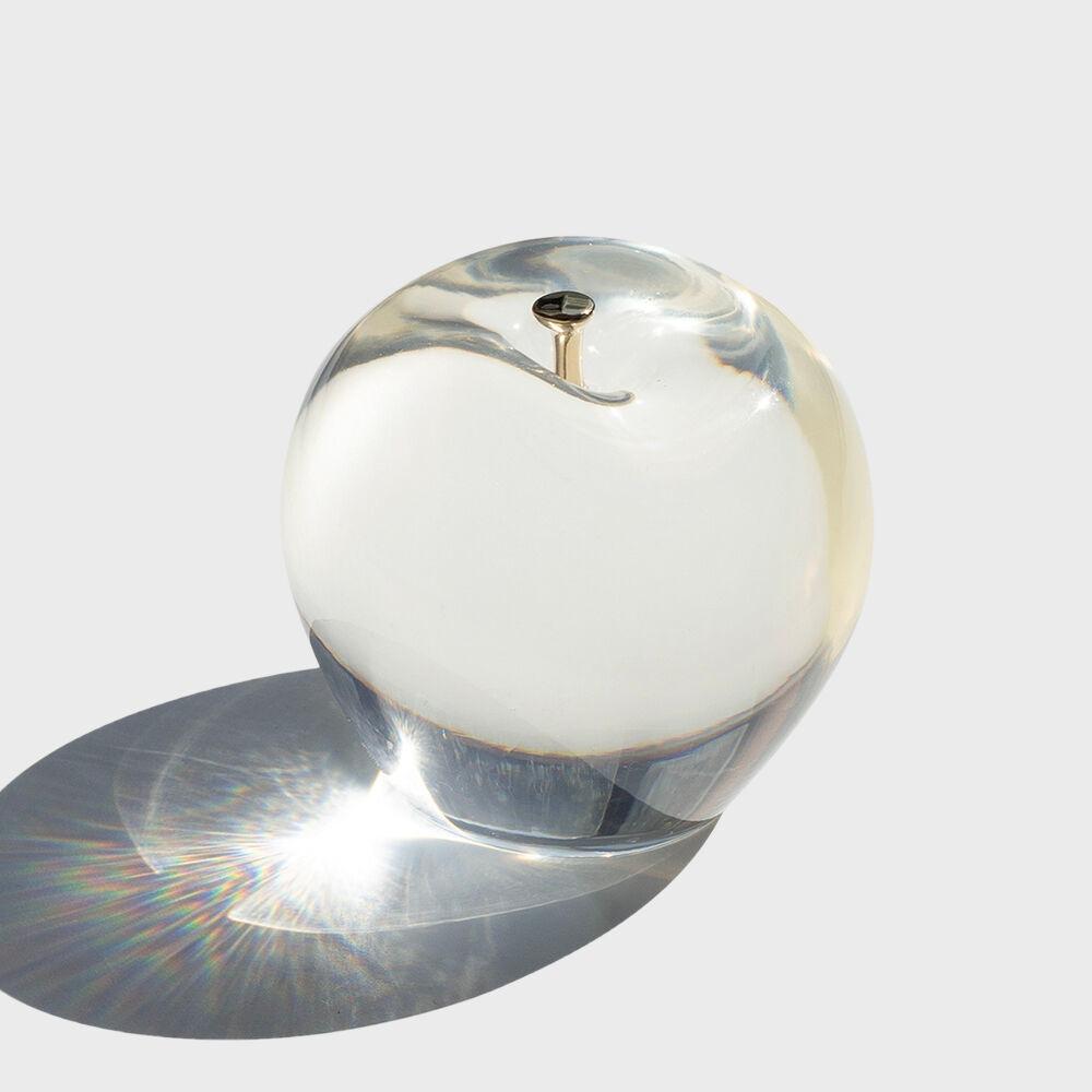 [mixtureshop] apple paperweight _ glossy, powdery