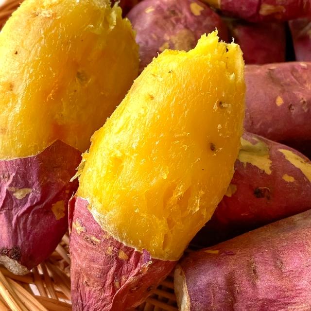 해남 꿀 호박 고구마 베니하루카 3~5kg