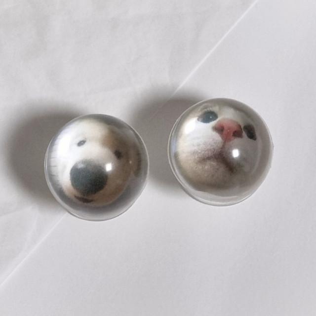 퍼피 캣 투명 레진 돔 그립톡 고양이 강아지 귀여운 스마트폰 거치대