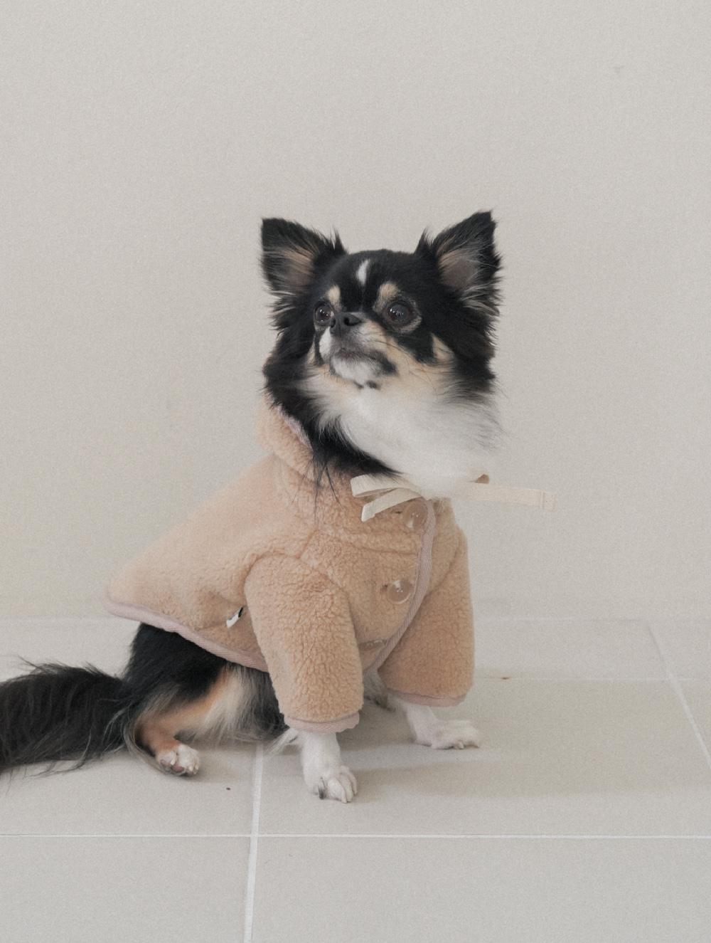 Shearing Hooded Jacket (Beige)