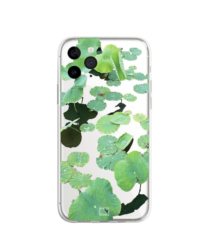 Pond Case 1