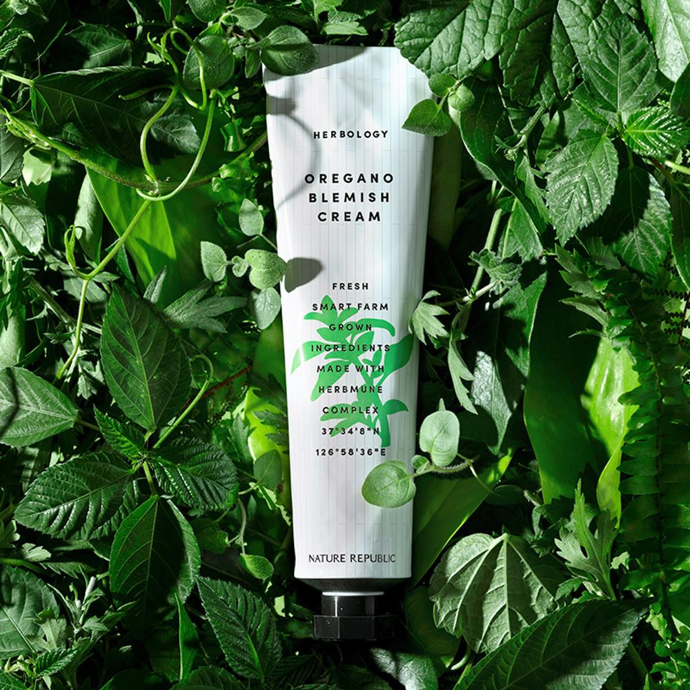[네이처리퍼블릭] 허브올로지 오레가노 블레미쉬 크림 70ml