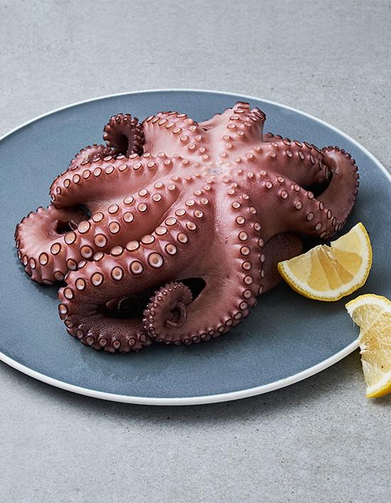 [은하수산] 모리타니산 자숙문어 550g (1마리) (냉동)