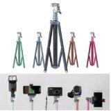 유쾌한생각 롤리팟