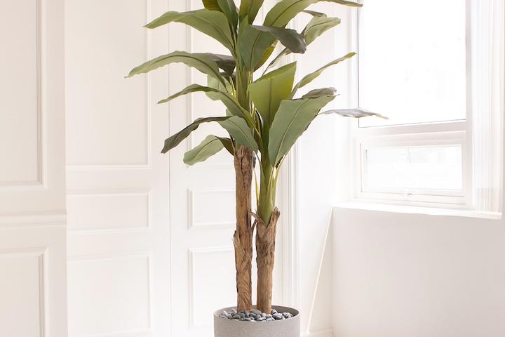 리얼퀄리티 핸드메이드 바나나나무 조화화분세트 2sizes