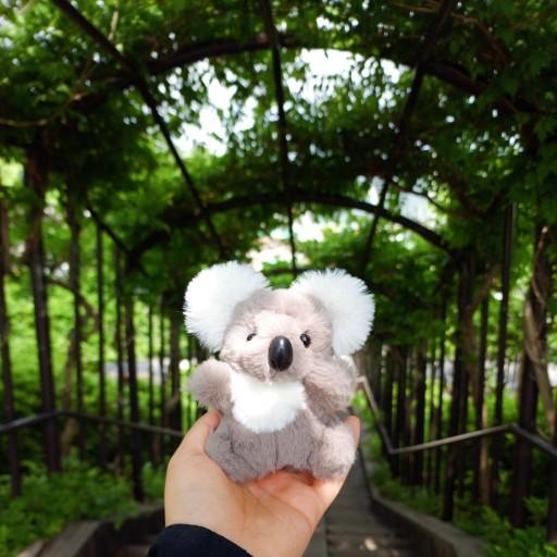안뇽! 코알라에코!🐨 인형 키링