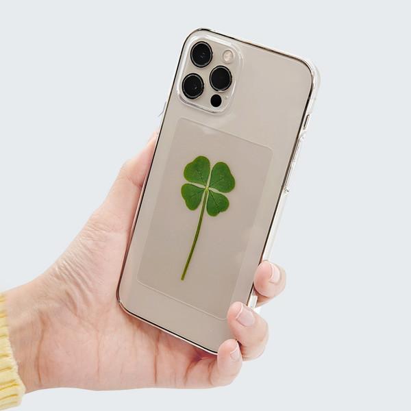 푸드클로버 네잎클로버 코팅카드 투명카드